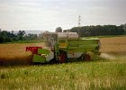 Claas Drescher 29